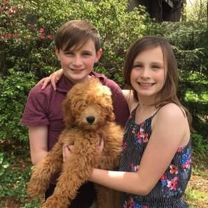 Meet your Posher, Cheryl